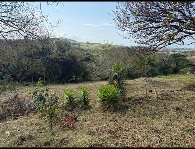 LAND FOR SALE IN ZINI RIVER ESTATE